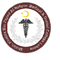 Sheikh Mohammad Bin Zayed Al Nahyan SMBZAN Institute of Cardiology logo